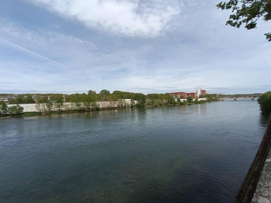 T3 Lumineux - Berges De La Garonne - Parking Appartement Toulouse