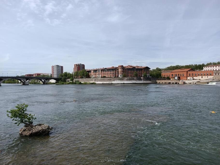 Apartment T3 Lumineux - Berges De La Garonne - Parking Toulouse